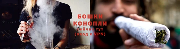 стаф Беломорск