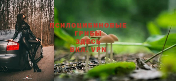jwh Белокуриха