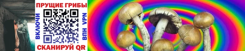 Псилоцибиновые грибы GOLDEN TEACHER  Бологое 